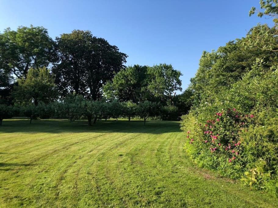 Cottage With Big Garden On Danish Countryside Рёдбю Экстерьер фото